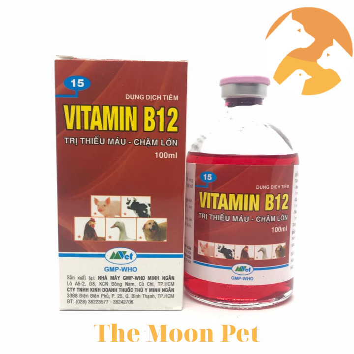 Vitamin B12 [100 ml] cho vật nuôi thiếu máu, chậm lớn.