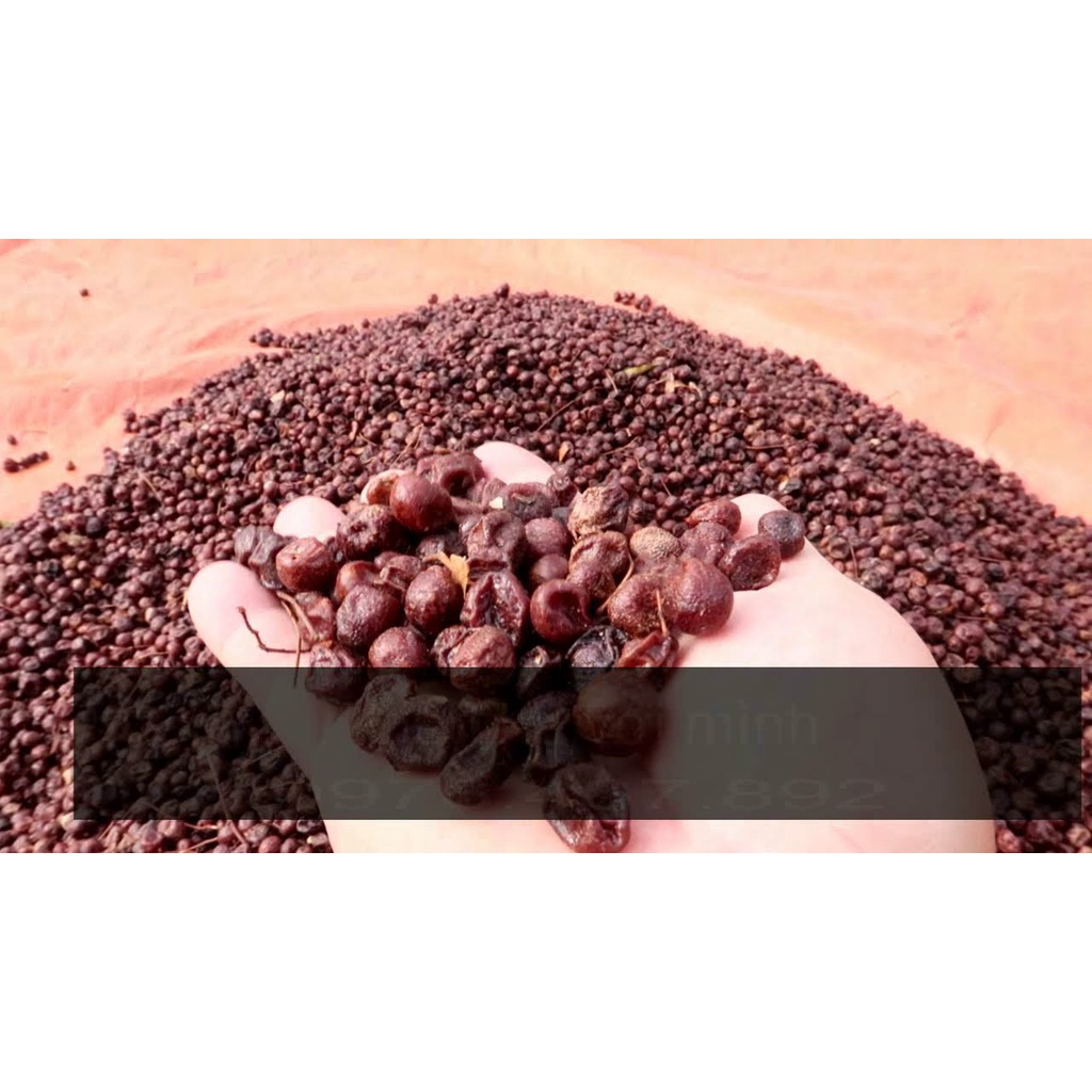 1kg quả mắc mật - bột móc mật khô - giá tại gốc