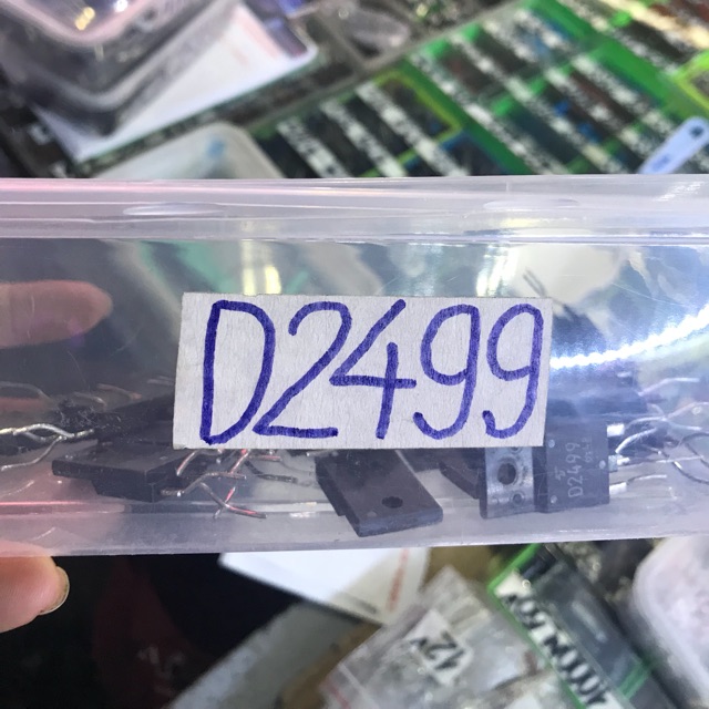 5 sò d2499