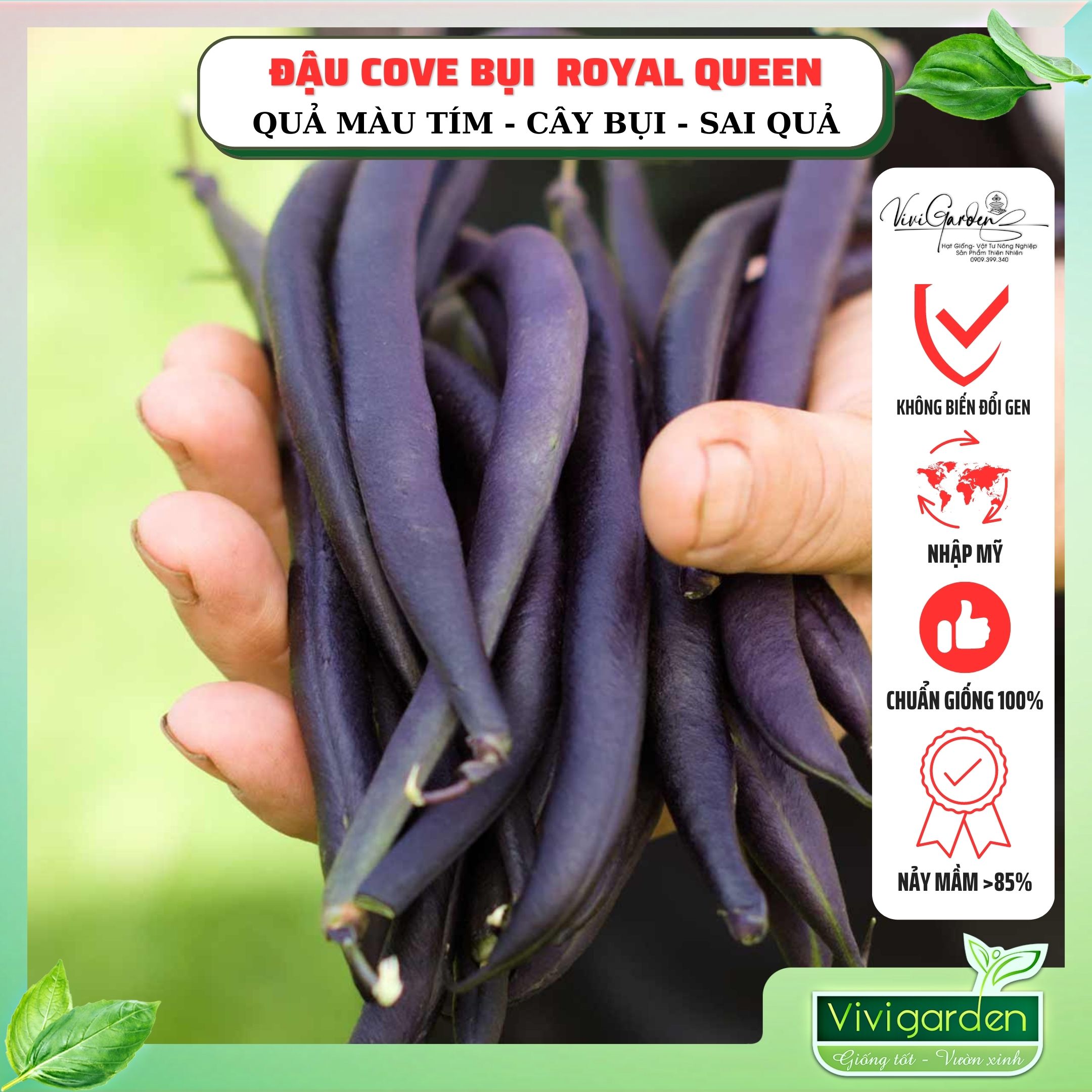 [HCM]Hạt Giống Đậu Cove Hữu Cơ Tím Bụi Lùn Royal Queen Có Thể Ăn Sống Trộn Salad Rất Ngon
