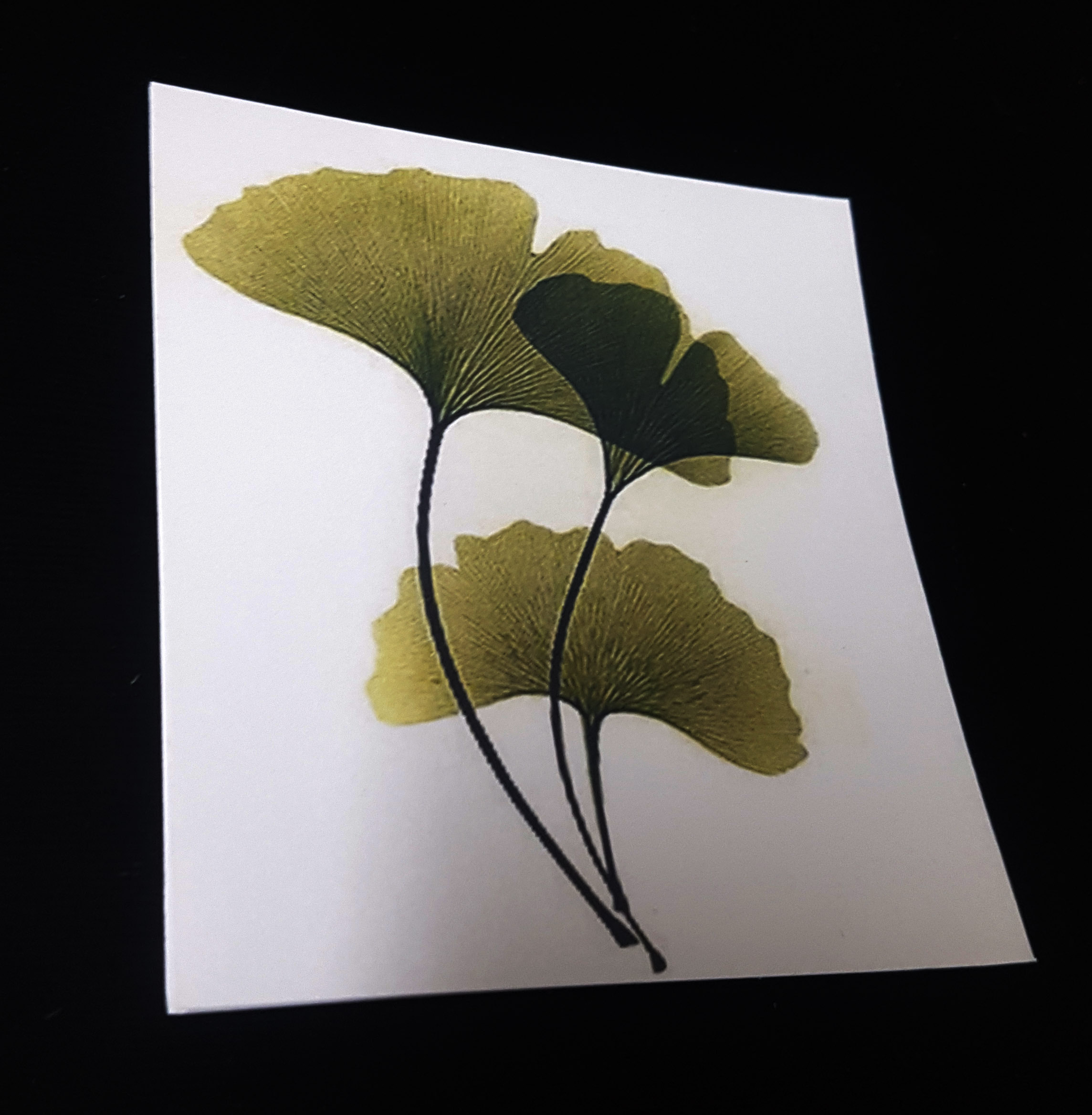 [HCM]Thiệp phong cách Vintage card quà cám ơn chúc mừng sinh nhật và giử tặng người yêu.