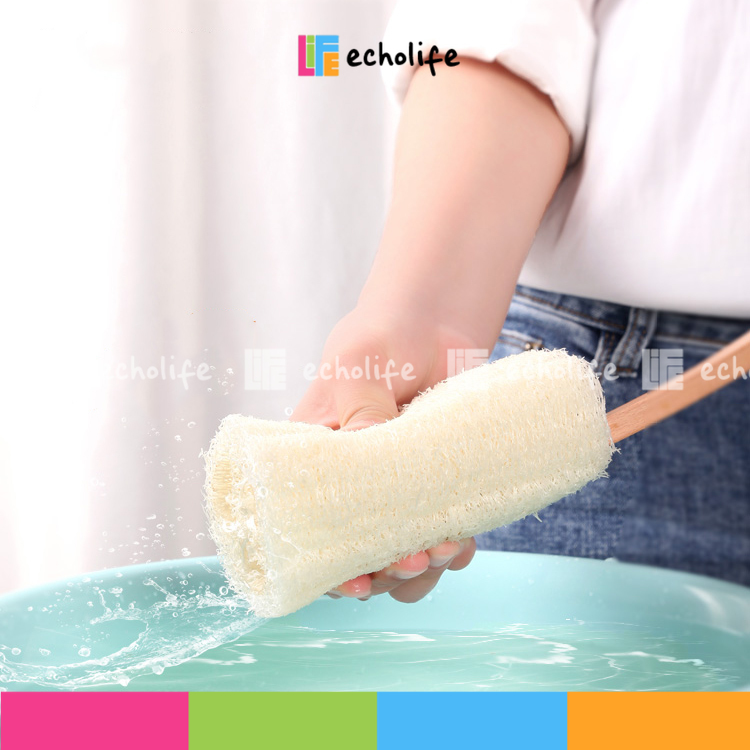 Cây chà lưng xơ mướp tẩy tế bào chết, làm sạch cơ thể Echolife