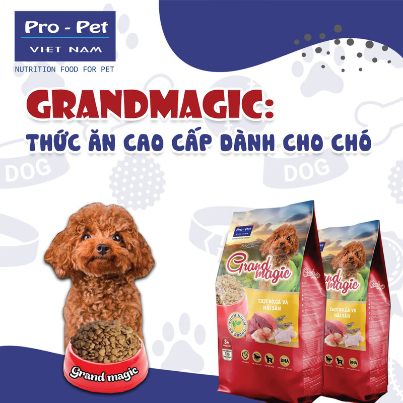 Thức ăn hạt cao cấp cho chó Grandmagic bổ sung đầy đủ dinh dưỡng hỗ trợ