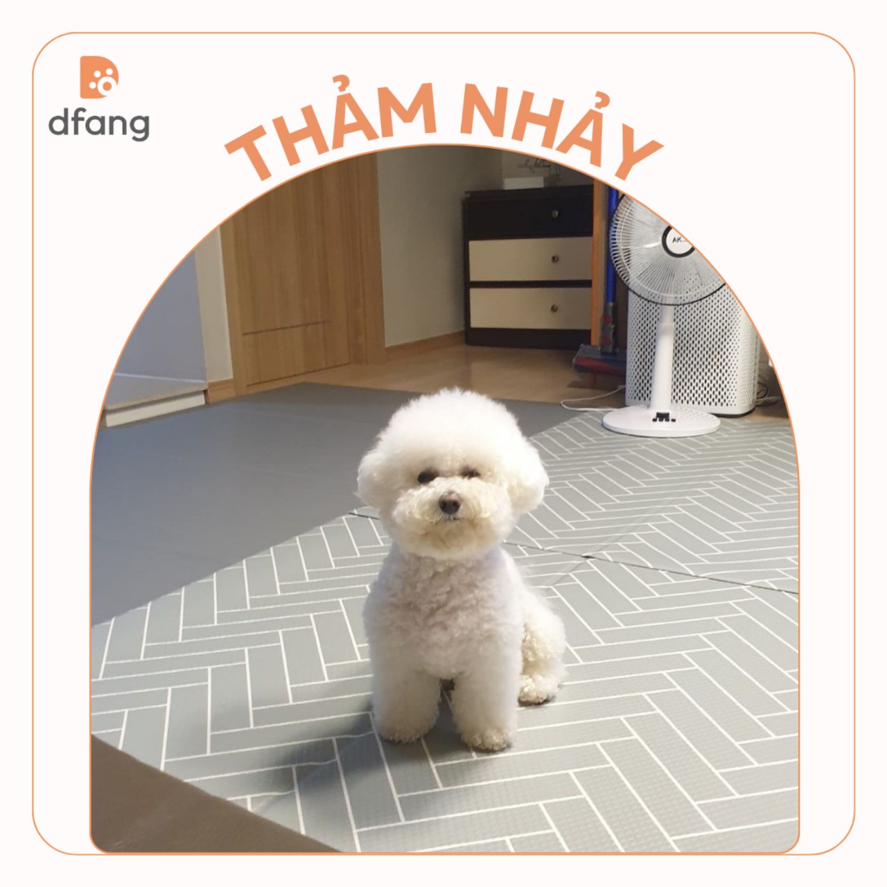 DFANG - Thảm nhảy chống trượt cho thú cưng