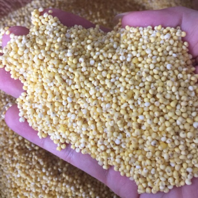Kê nếp vàng 1kg loại 1 bao dẻo
