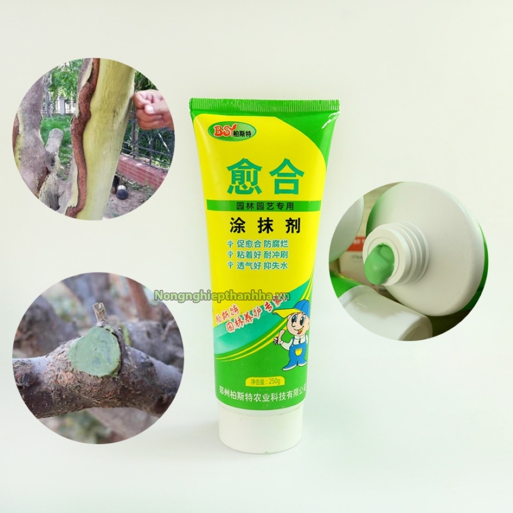 Keo liền sẹo cho cây, keo bôi liền sẹo cho cây hiệu quả cao