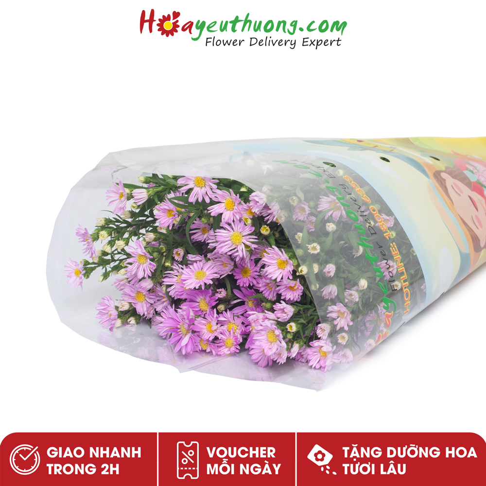 Hoa Thạch Thảo Trắng và Tím Hoayeuthuong - hoa tươi Đà Lạt trang trí nhà cửa, văn phòng