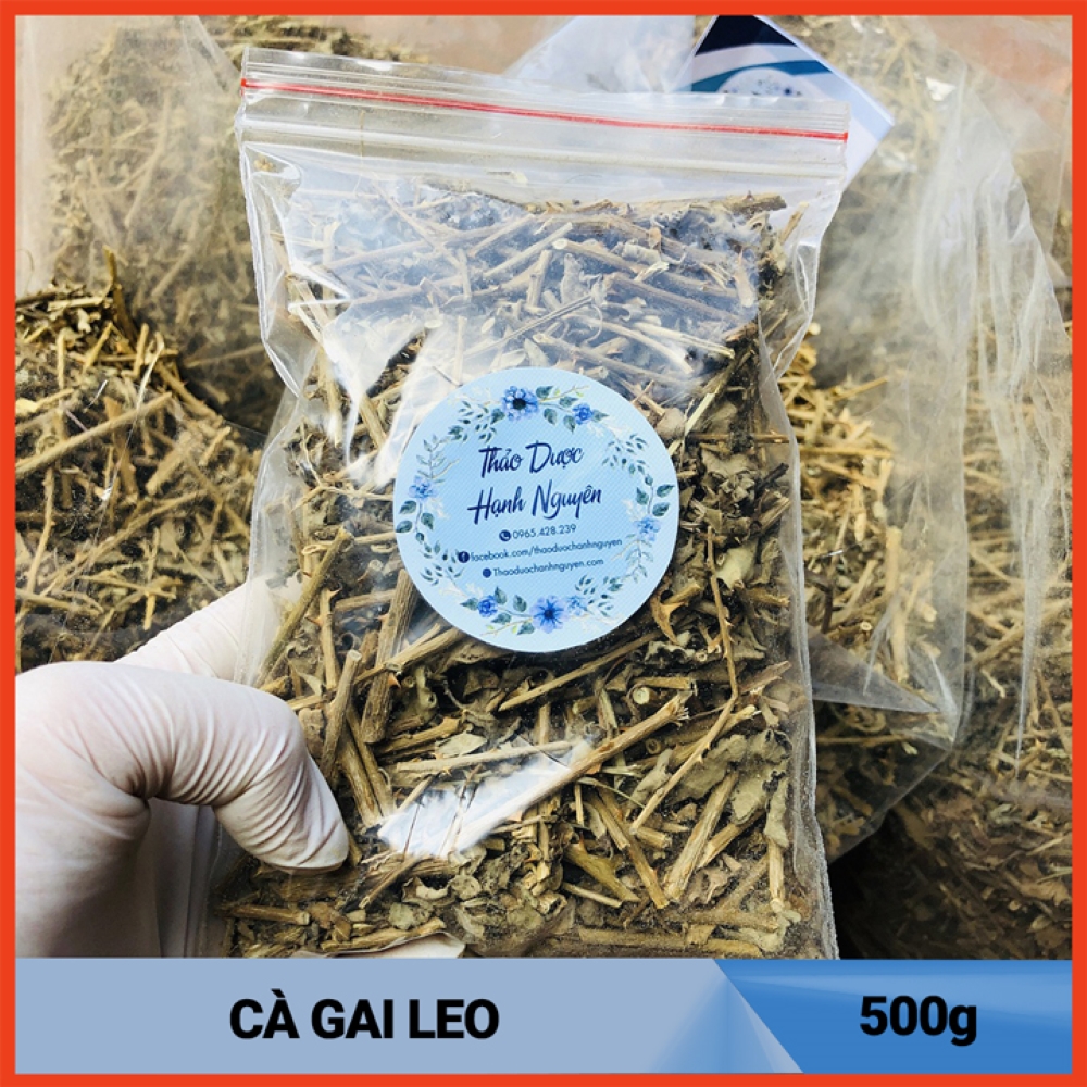 Trà Cà Gai Leo Khô Sạch 500g Hỗ Trợ Điều Trị Bệnh Gan Hiệu Quả