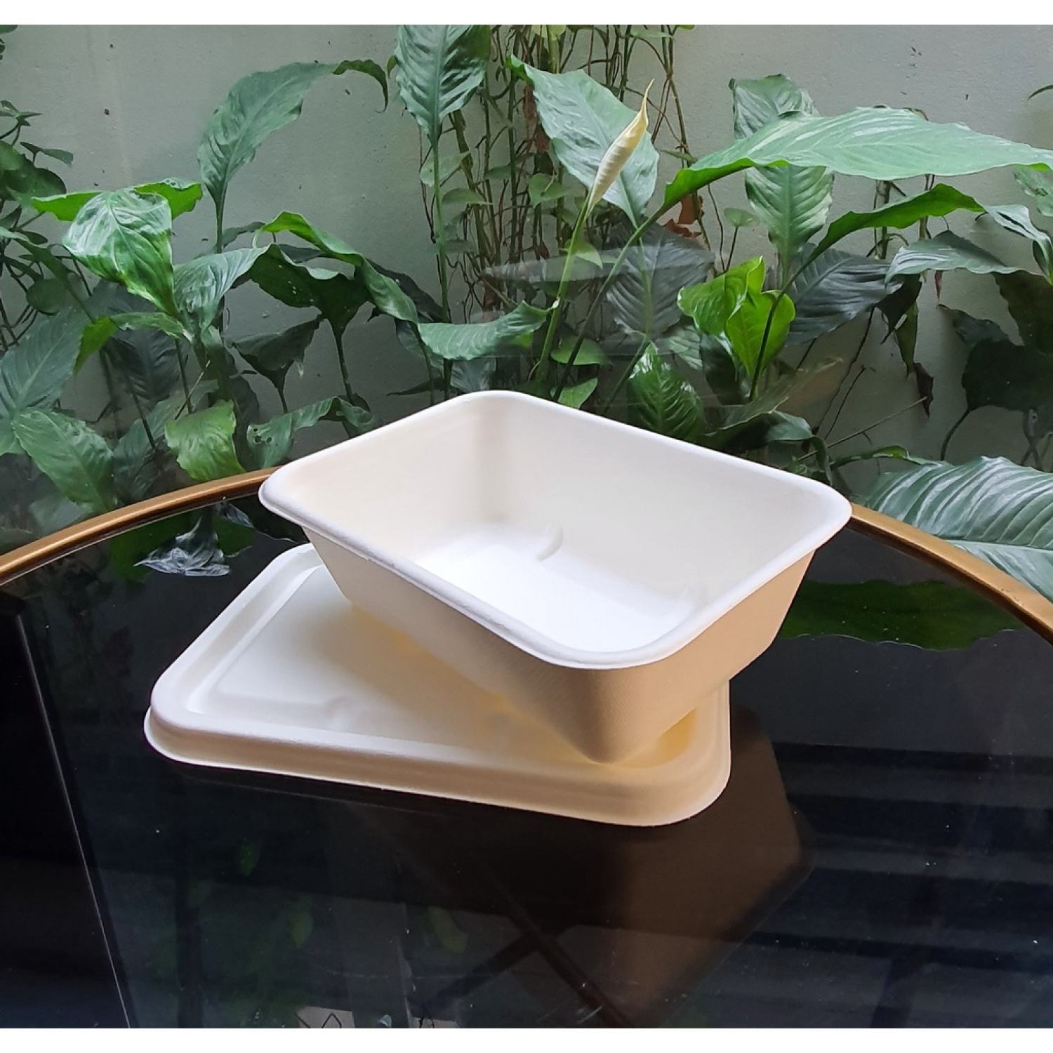 50 Hộp bã mía chữ nhật nắp bã mía