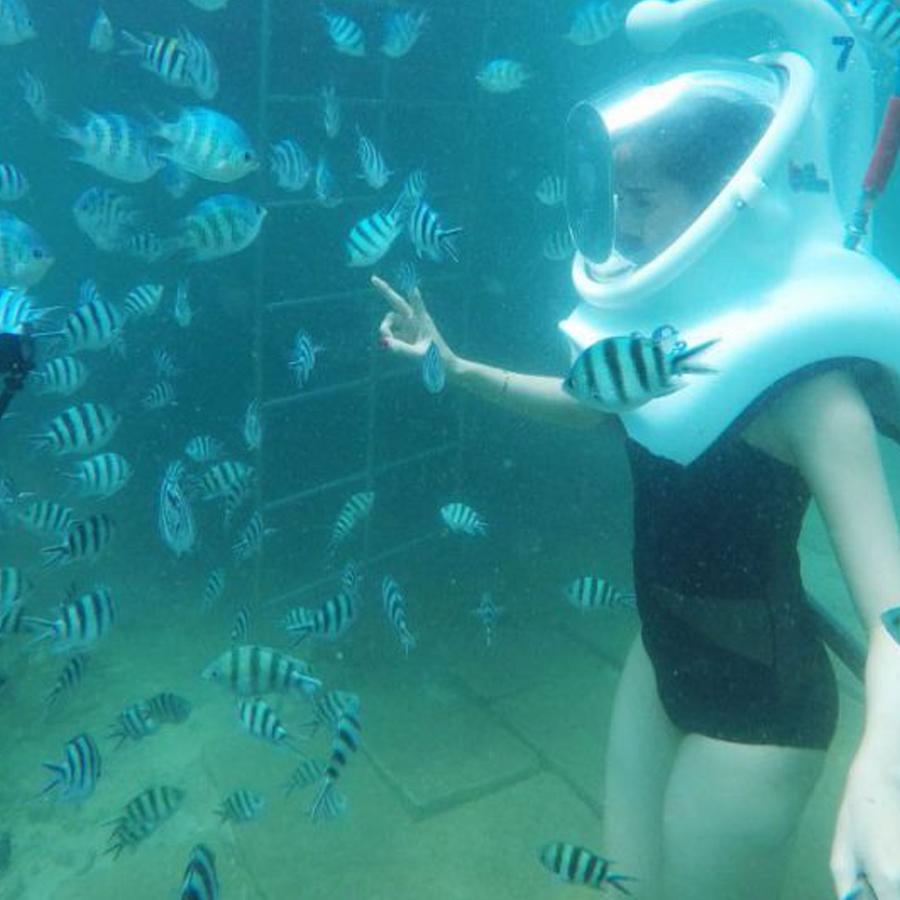 Tour đi bộ dưới biển Cù Lao Chàm