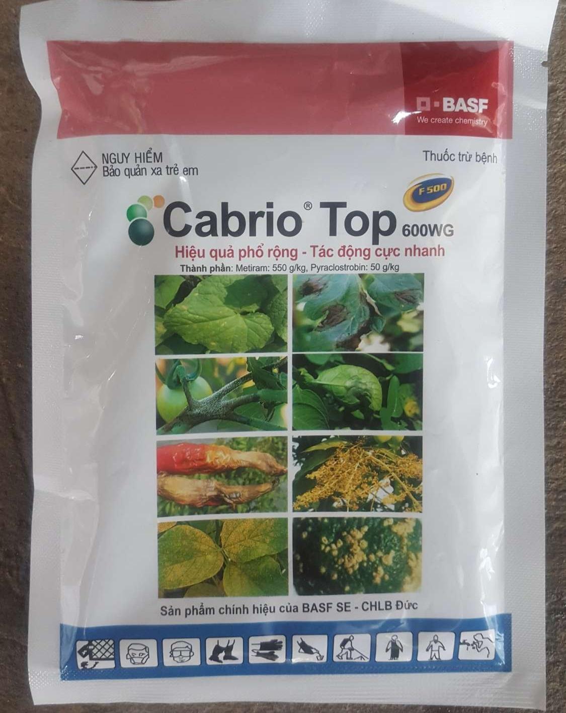 Đặc trừ bệnh thán thư sương mai rỉ sắt ghẻ sẹo Cabrio Top 600WG