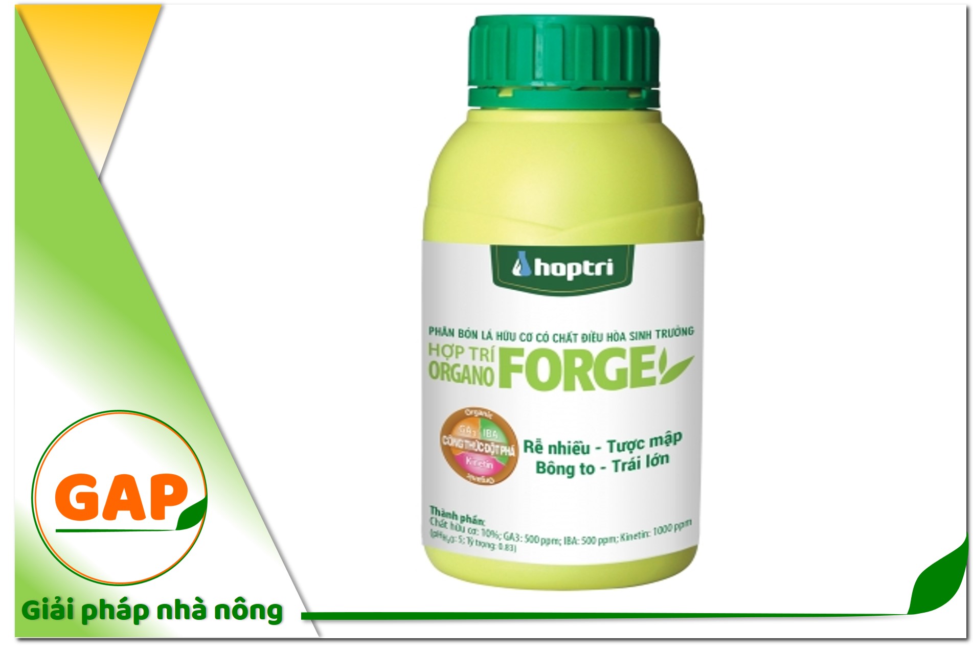 Hợp Trí Organo Forge - Rễ nhiều, Tược mập, Bông to, Trái lớn