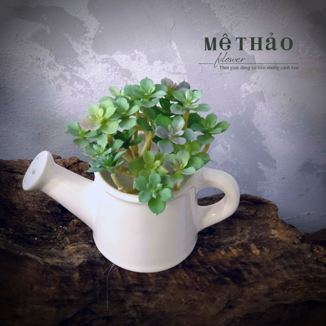 Chậu Sen Đá Giả, Chậu Cây Để Bàn Trang Trí Bàn Làm Việc, Decor Phòng Khách, Quán Cafe, Quán Trà Sữa