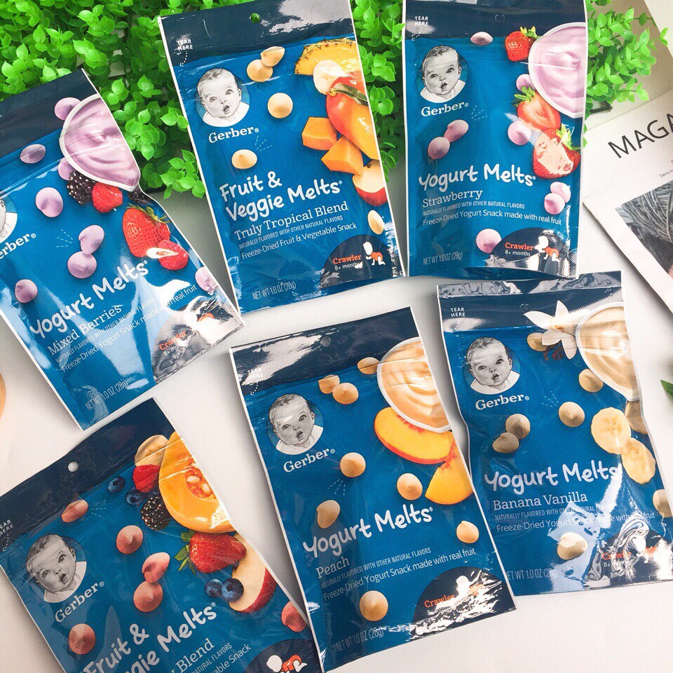 SỮA CHUA KHÔ GERBER HOA QUẢ