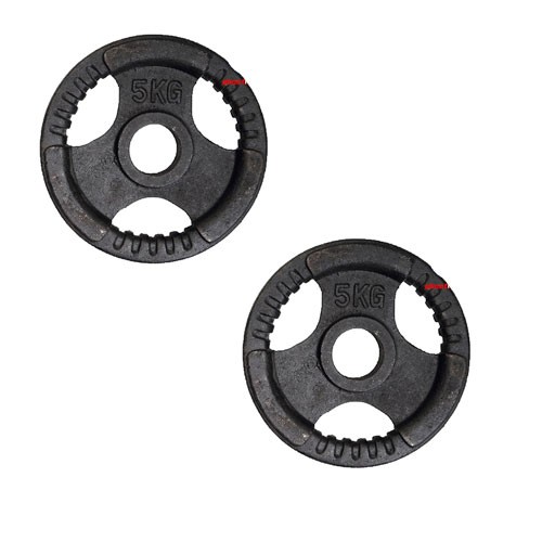 Bộ 2 Bánh Tạ Gang 5kg (Tổng 10kg) Lỗ 27mm Đại Nam Sport