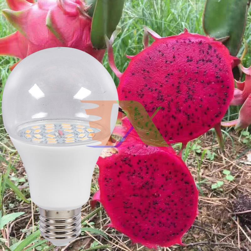 Đèn trồng cây Thanh Long DRG-15W, Đèn led xông Thanh Long, Đèn chiếu sáng Thanh Long