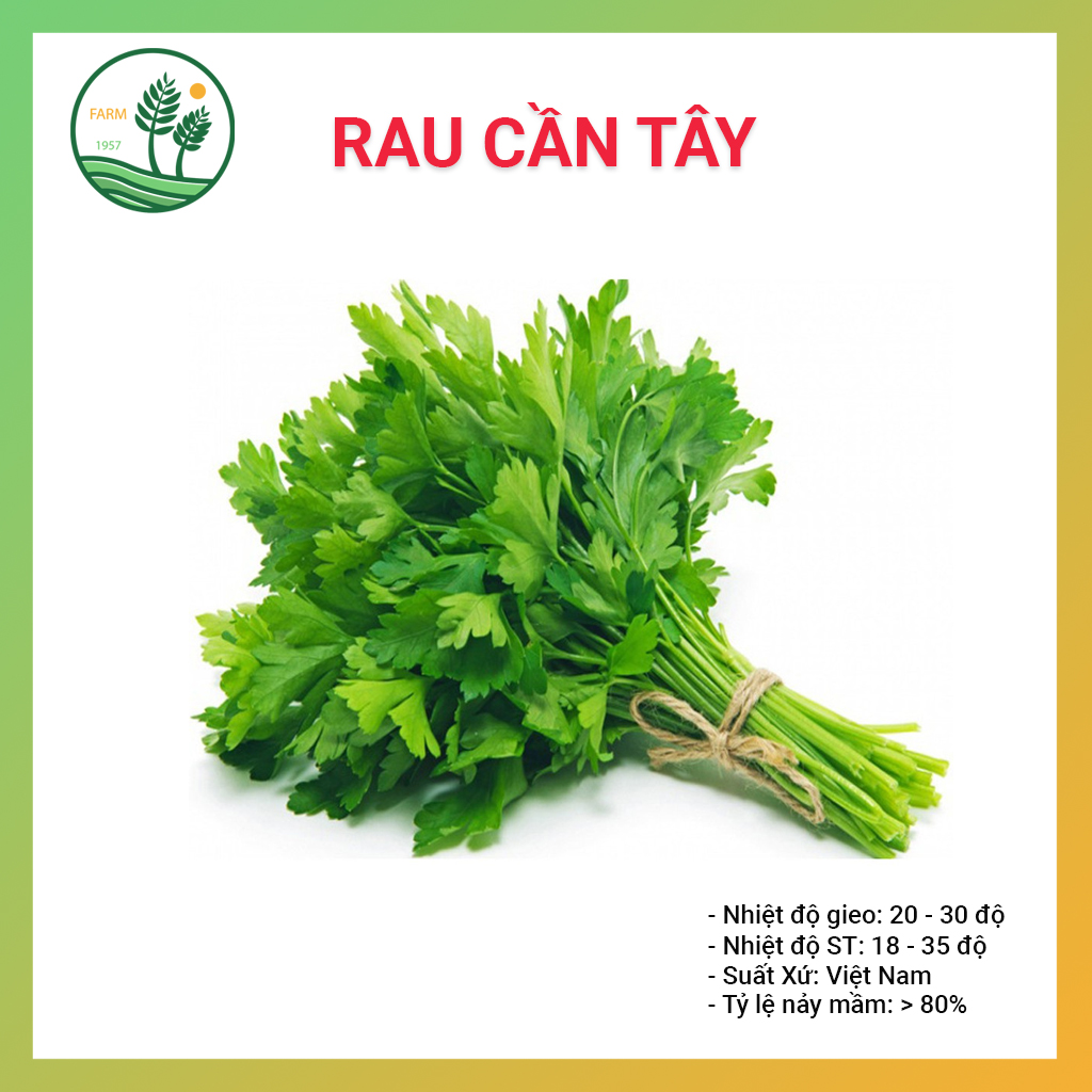 Hạt giống cần tây 5gr