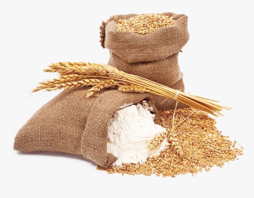 Maida - Bột Mì Indian Maida - bột tinh chế - Refined flour - Indian Maida