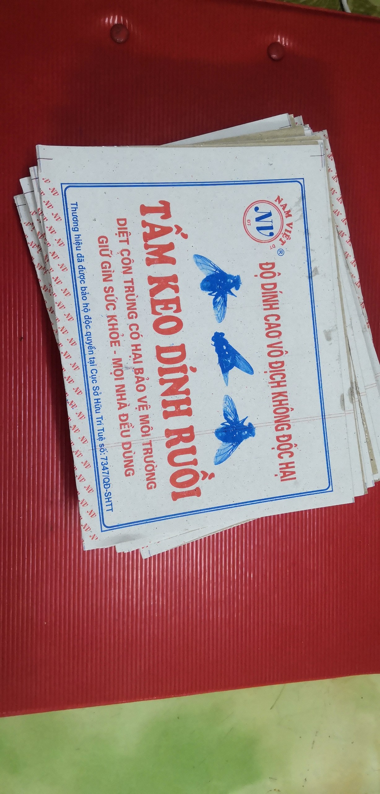 100 vỉ keo dính ruồi, vỉ ruồi, bẫy ruồi siêu dính