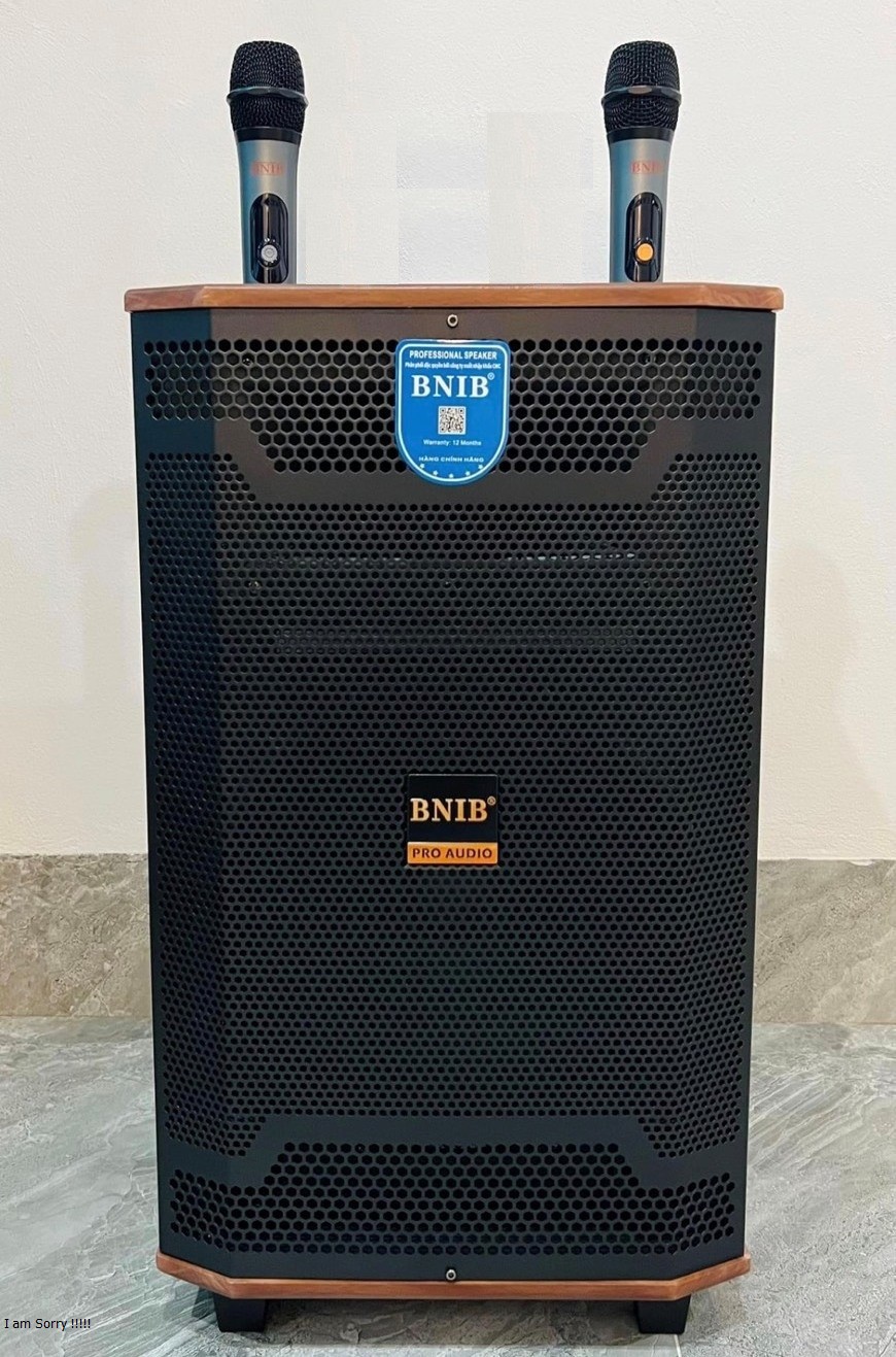 Loa karaoke di động hát hay, loa kéo karaoke giá rẻ bass 3 tấc,  2 micro UHF hút âm hát nhẹ, chống hú rít cực tốt. Kết nối tivi. BH1 năm