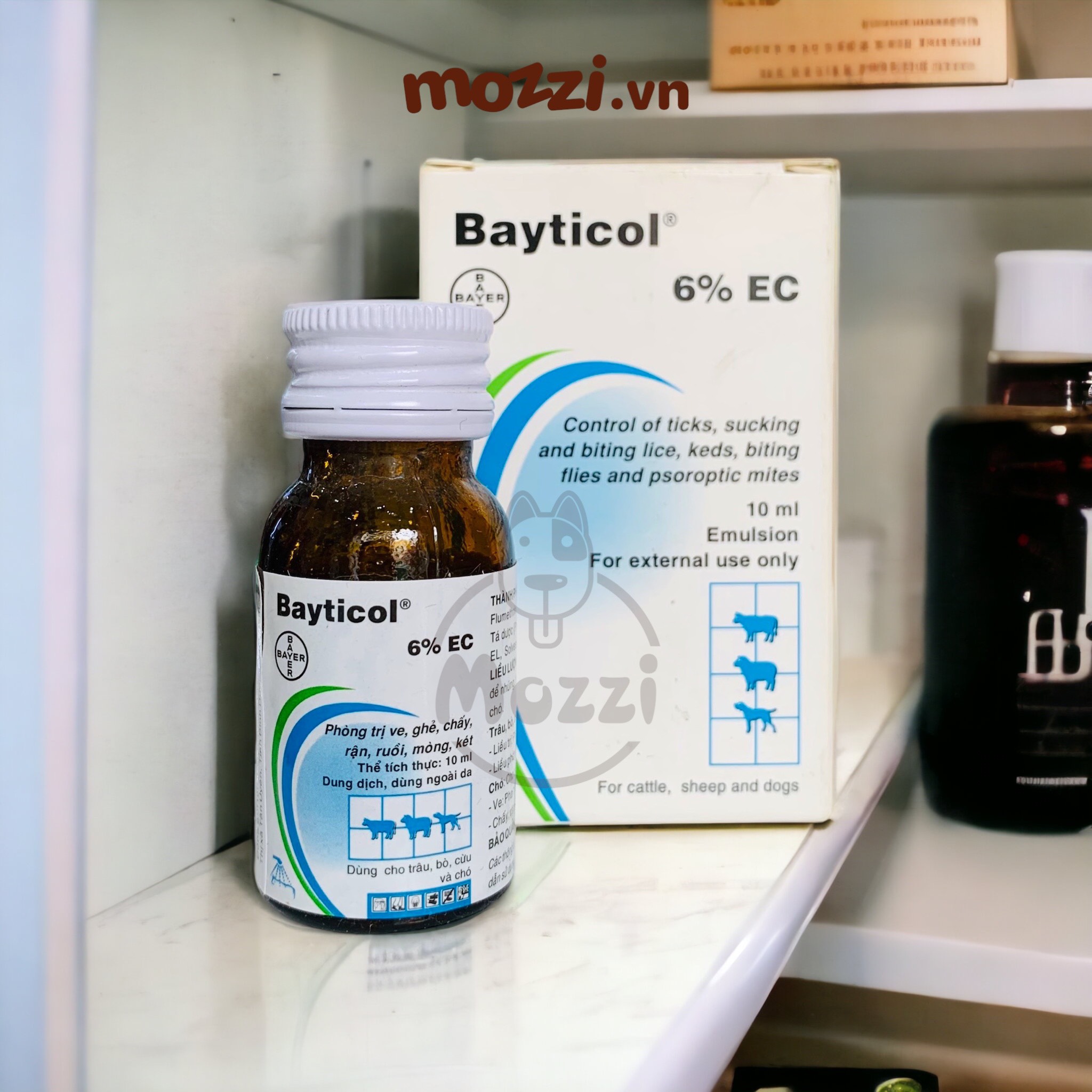 Bayer Bayticol Thuốc pha xịt trị ve rận khu vực cho chó mèo