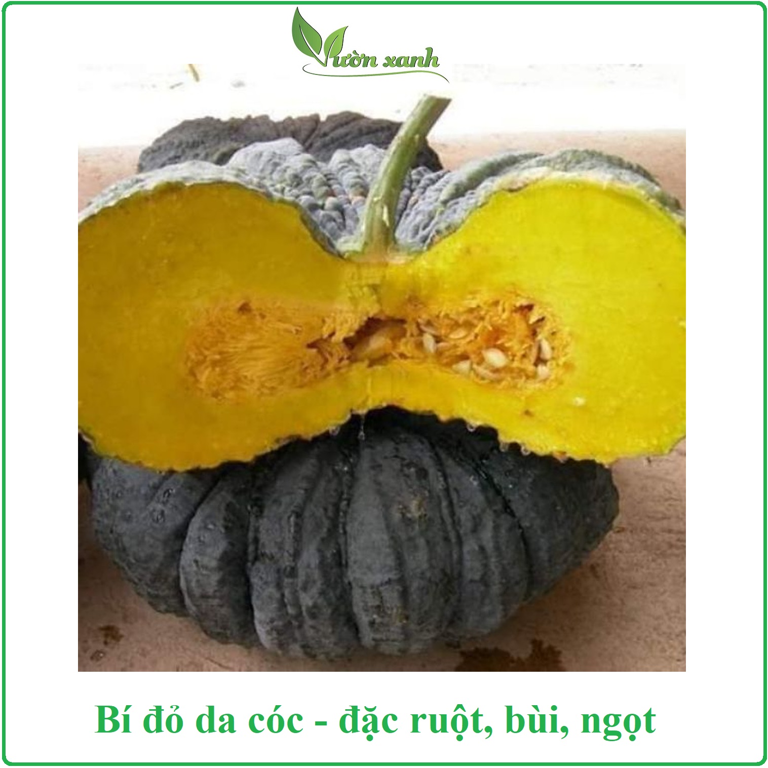 Hạt giống bí đỏ da cóc Rạng Đông bùi, ngọt