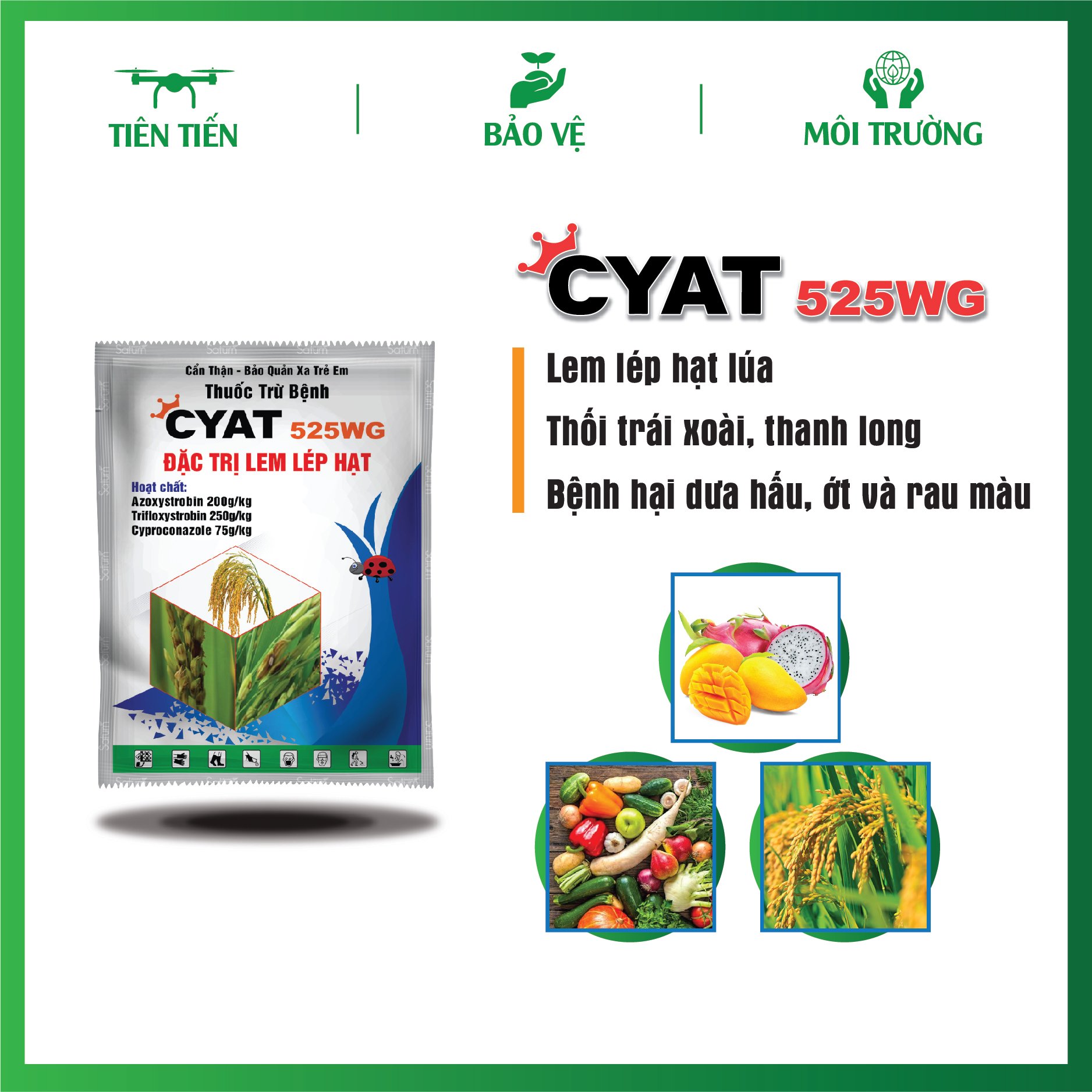 Thuốc Trừ Bệnh Cyat 525WG gói 6gr/10gr/96g - Lem lép hạt trên lúa và bệnh hại trên cây trồng