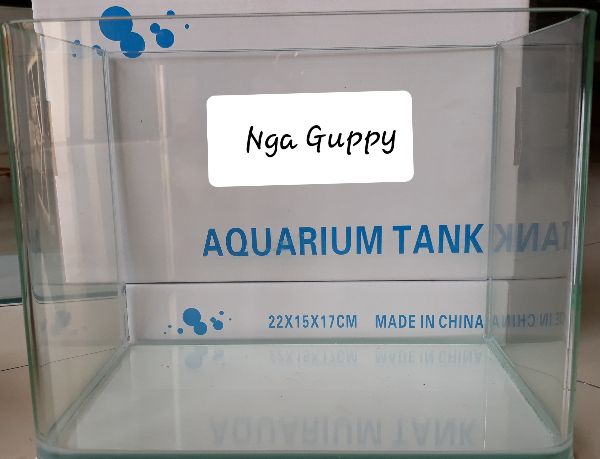 [HCM]Bể cá đúc mặt bo cong 22 x 15 x 17 cm