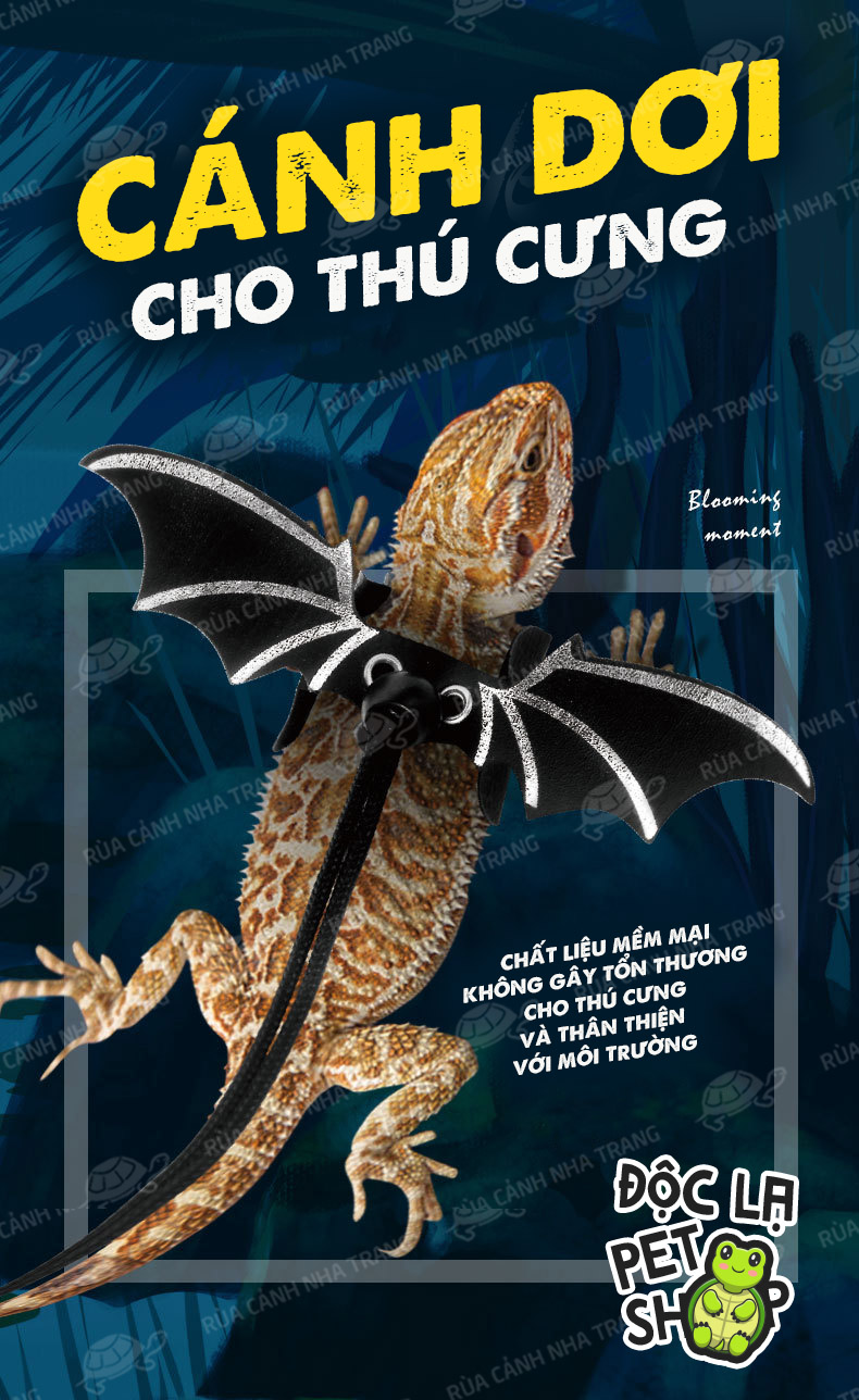 Đồ chơi cho thú cưng, Cánh dơi cho bò sát Rồng Úc (Bearded Dragon)