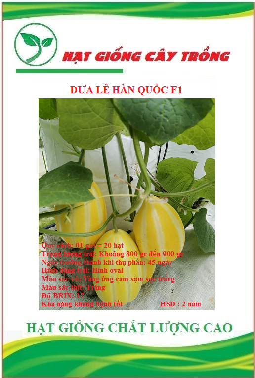 Hạt giống dưa lê hàn quốc f1 ct89 - gói 10 hạt