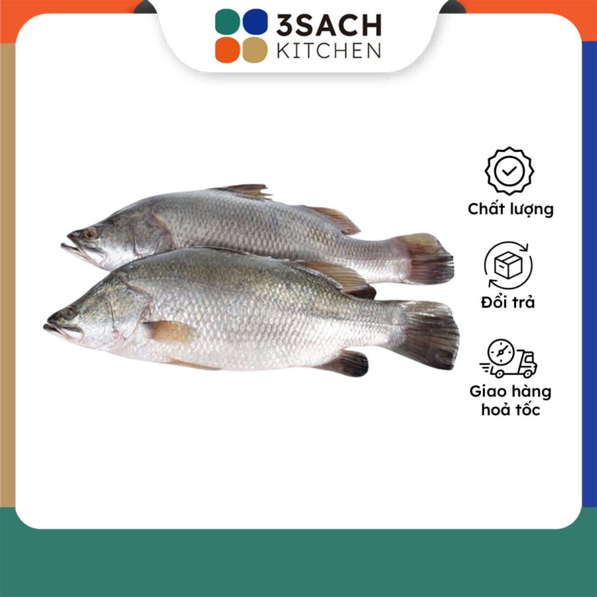 [Chỉ Giao HCM] Cá Chẽm Size 0.8-1.2 (Kg)