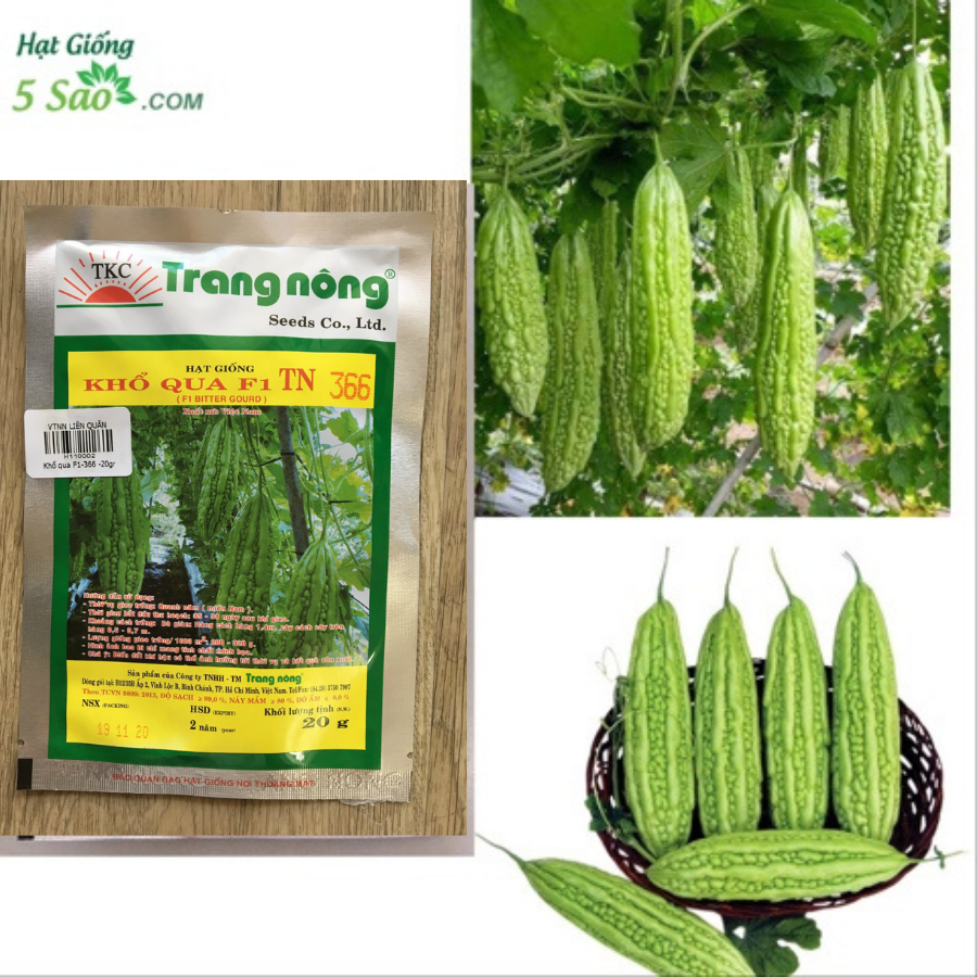 Hạt giống khổ qua f1 tn 366