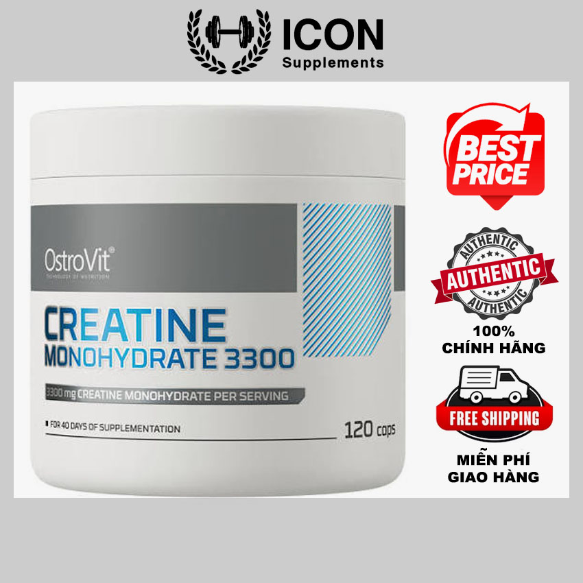 OstroVit Creatine Monohydrate 3300 (120 viên)