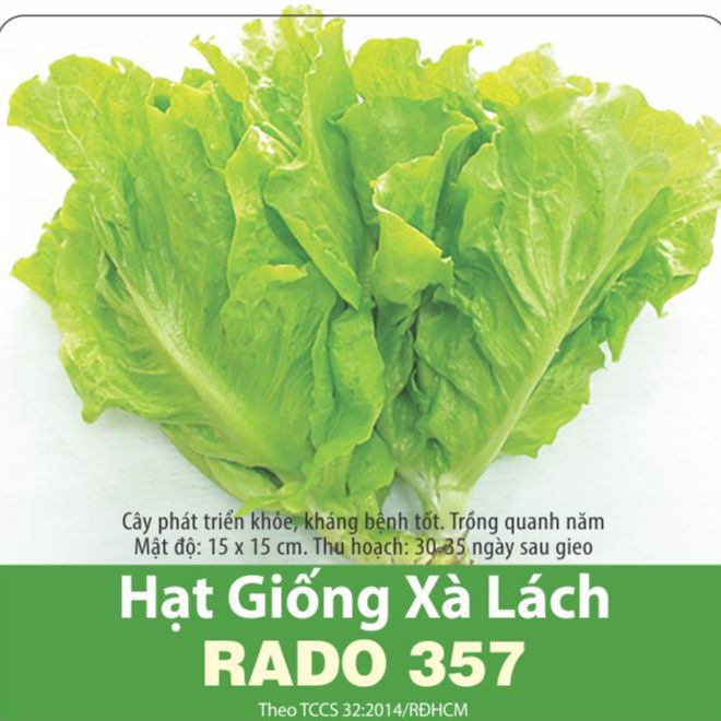 Hạt giống xà lách cao sản