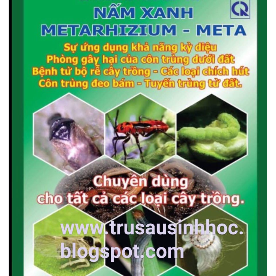 [HCM]Nấm xanh phòng trừ sâu và côn trùng gói 100gr/500gr cam kết hàng đúng mô tả chất lượng đảm bảo an toàn đến sức khỏe người sử dụng