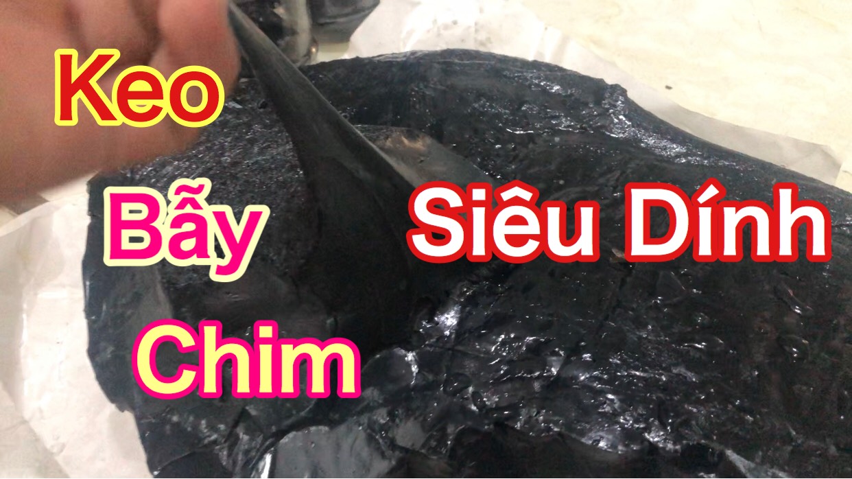 keo bẫy chim sẻ
