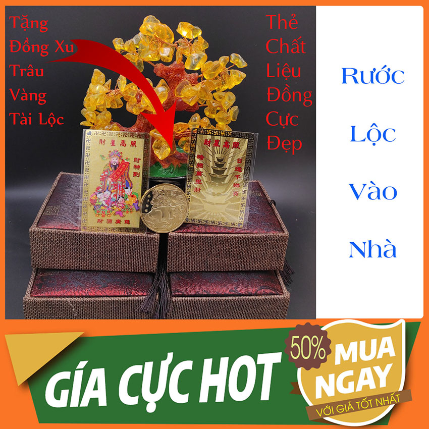 [Đã Khai Quang] - Tặng Đồng Xu Kim Ngưu Tài Lộc - Kim Bài Tài Tinh Cao Chiếu Chiêu Tài -  Thần Tài Gõ Cửa Giúp Kiếm Nhiều Tiền Hơn - Eco Fengshui