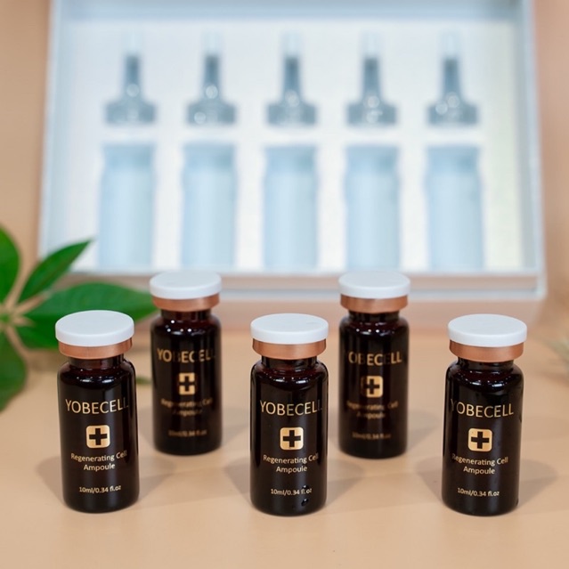 Set tinh chất tế bào gốc yobecell - giúp tái tạo da, ngăn ngừa lão hóa