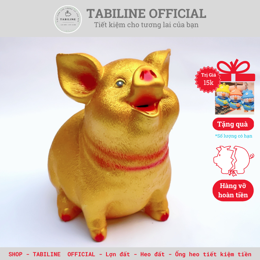 Lợn đất heo đất ống heo tiết kiệm tiền TABILINE Tai vểnh vàng đồng vip LD58