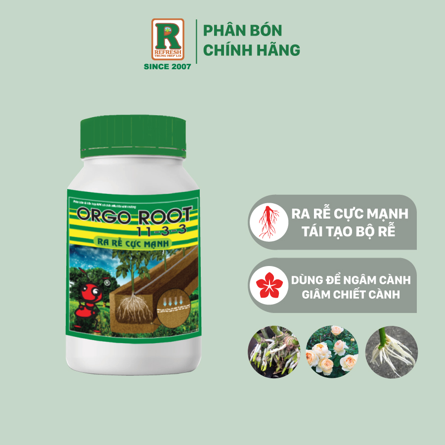 Phân bón ra rễ cực mạnh orgo root 150gr, giâm cành, chiết cành