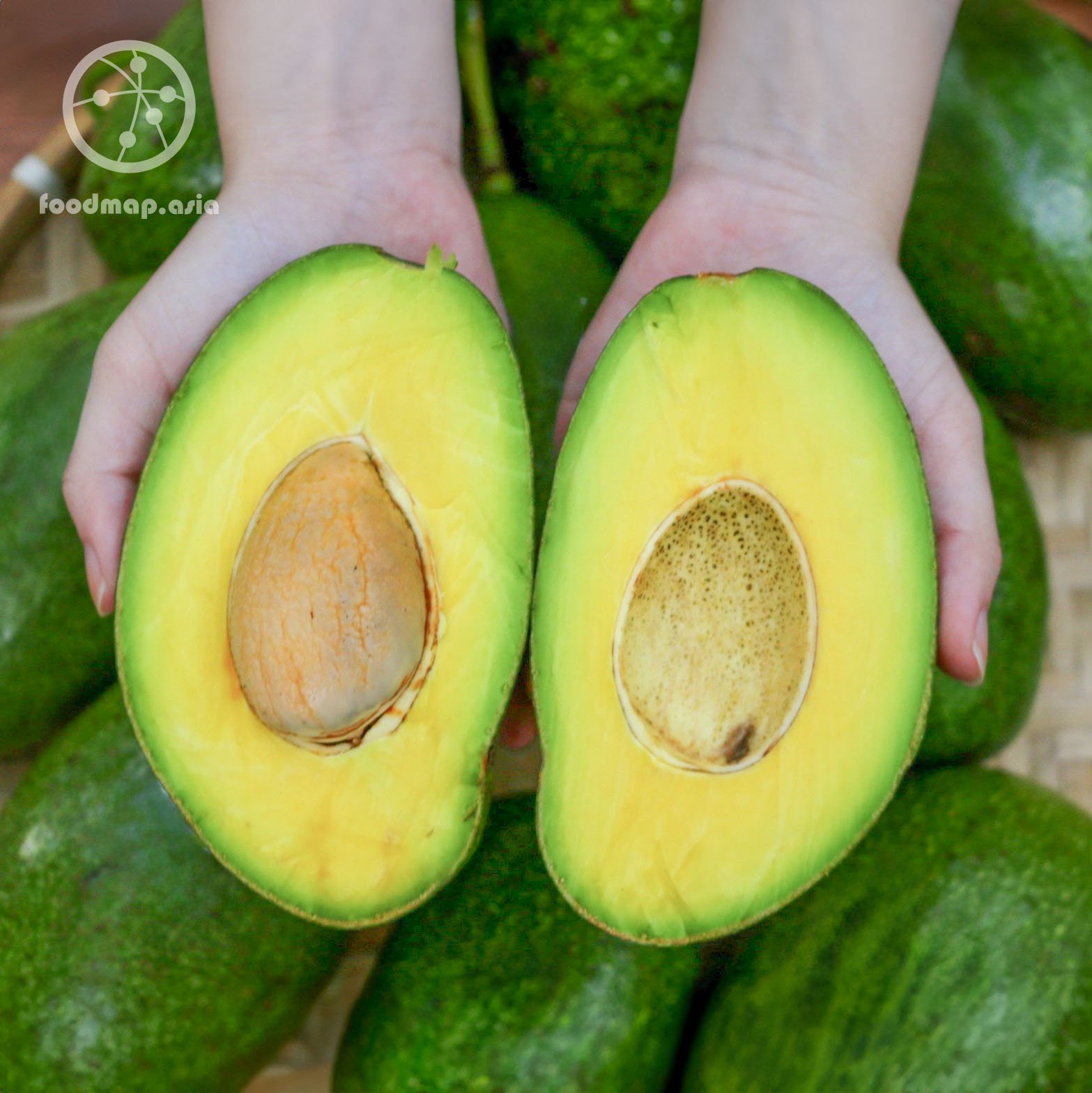 [BƠ CHÍN DÙNG NGAY] - Bơ Cuba - Foodmap Fruits - Combo 3 trái (1,3-1,5kg)