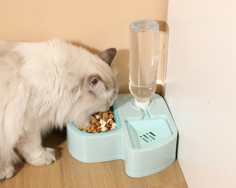 chén ăn kèm bình nước 500ml dành cho chó mèo