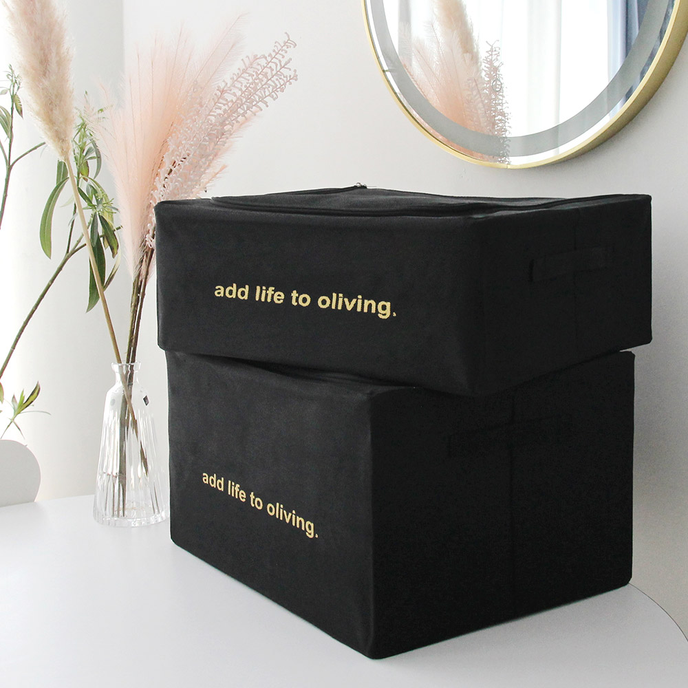 Combo 2 hộp vải lùn gấp gọn- Living box 56L