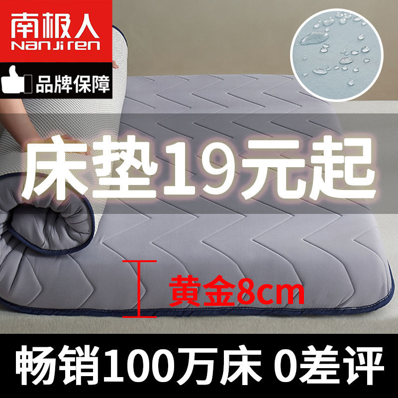 Đệm Ngủ Cho Người Nam Cực 1.2 Nệm Gạo Giường Ký Túc Xá Học Sinh Giường Chiếu Thảm Trải Sàn Trải Thảm Tatami Đơn