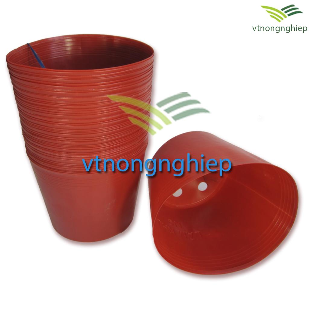 50 Chậu nhựa đỏ C10 25x21x21 trồng ươm cây