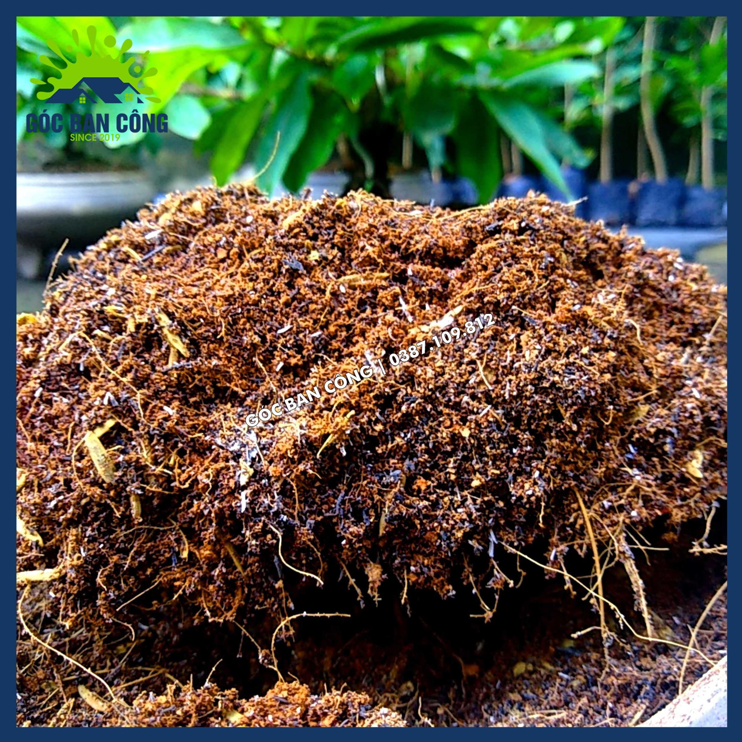 2KG Giá Thể Trộn Sẵn Trồng Kiểng Bonsai Hoa Màu