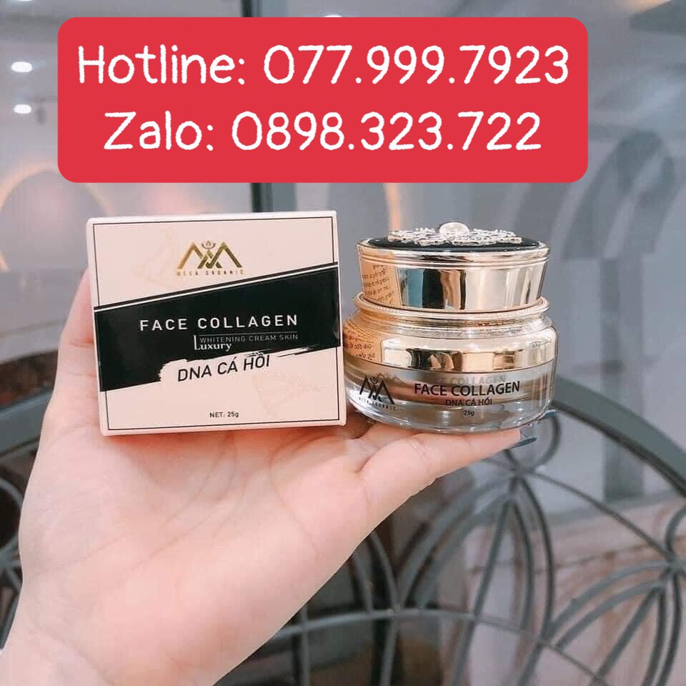 Kem face collagen dna cá hồi meea