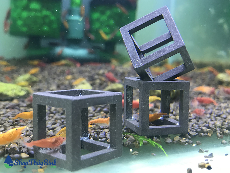 Đồ chơi cho tép cảnh dạng hình vuông cubic dễ thương