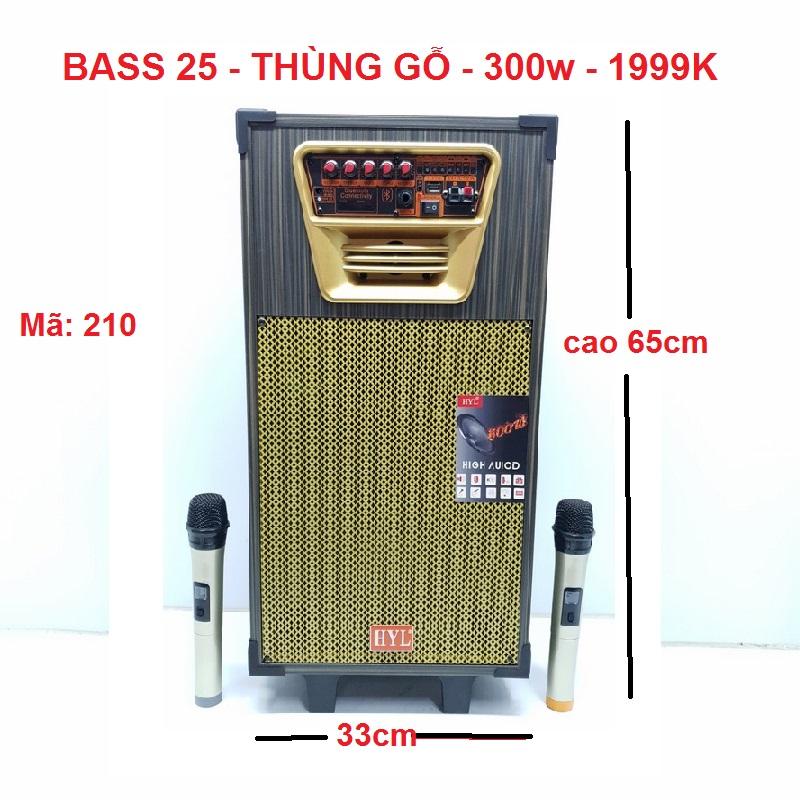 Loa Kéo Di Động HYL 210 Bass 25 Thùng gỗ