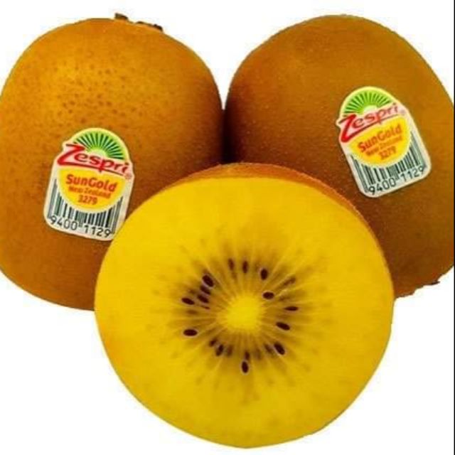 CÂY GIỐNG KIWI LEO GIÀN RUỘT VÀNG DÒNG QUẢ SỚM